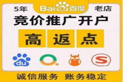 竞价排名关键词优化实战案例分析